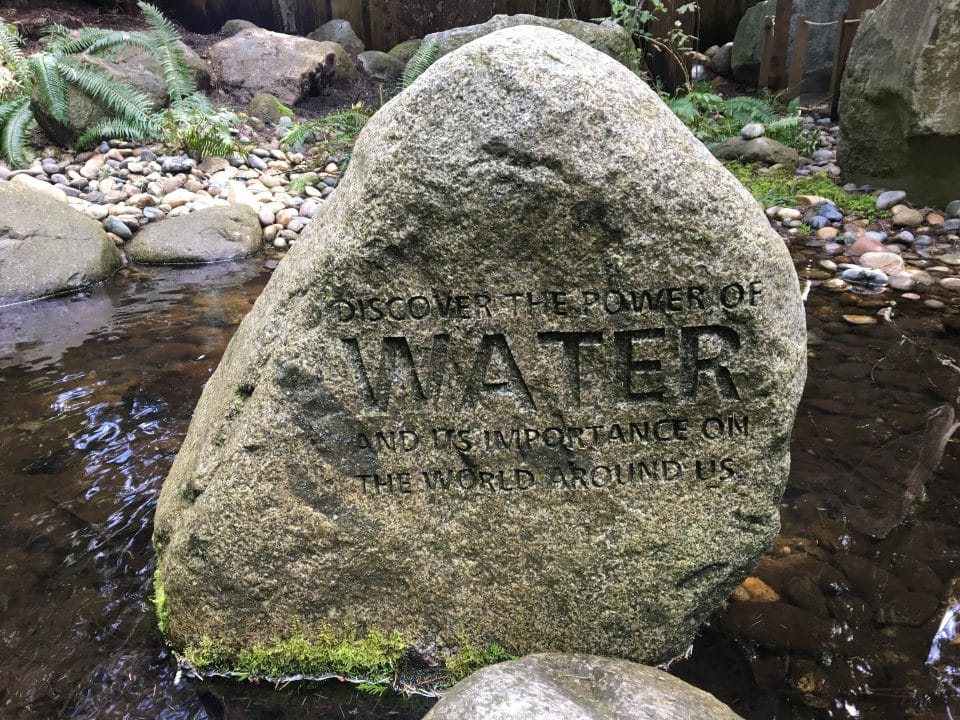 Capilano Water Rock