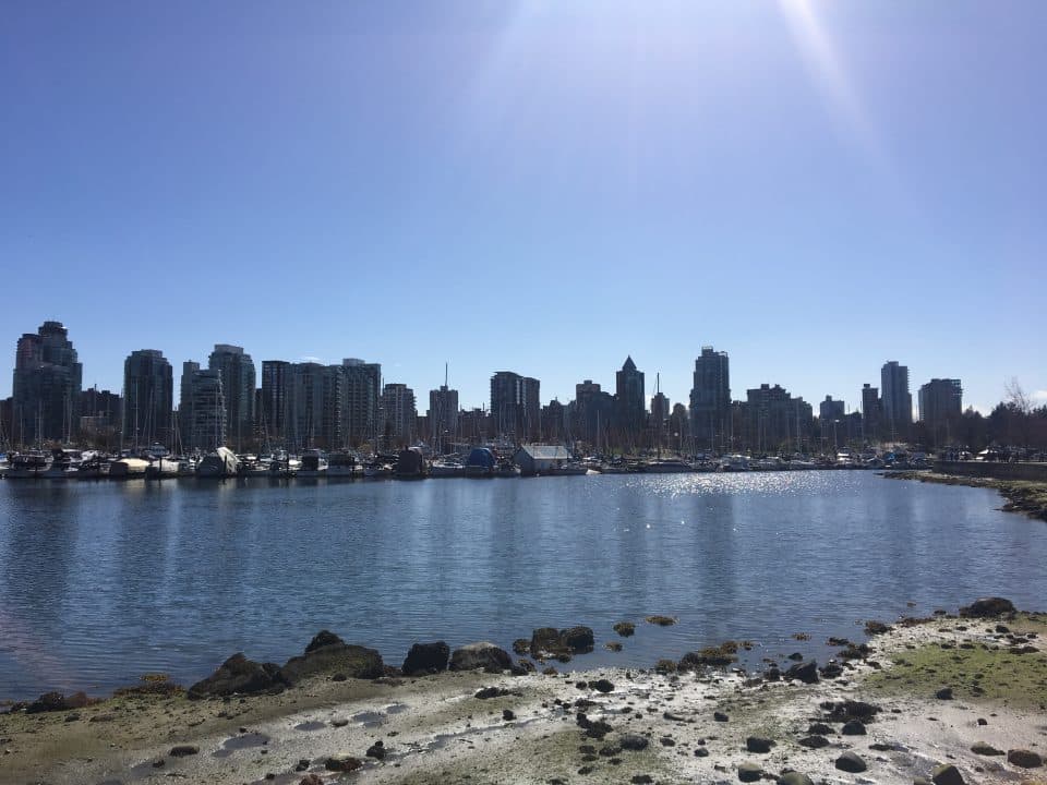 Vancouver skyline from park