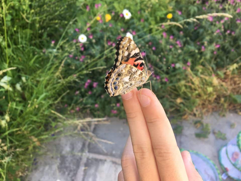 Butterfly release on finger