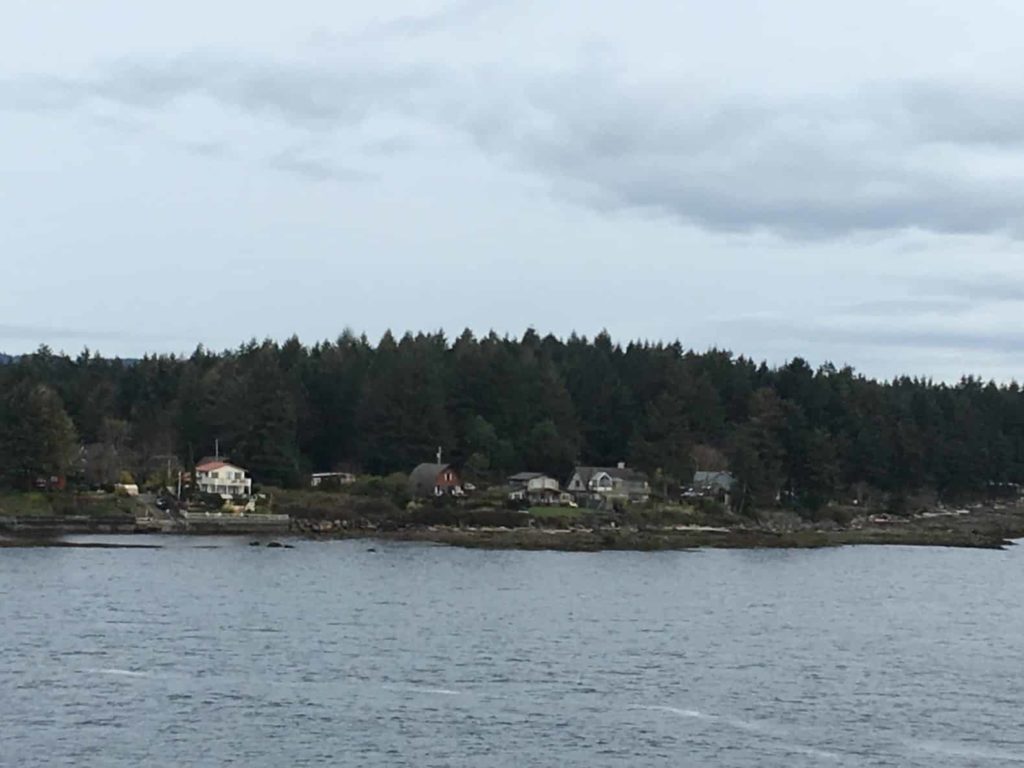 Nanaimo Forest Skyline