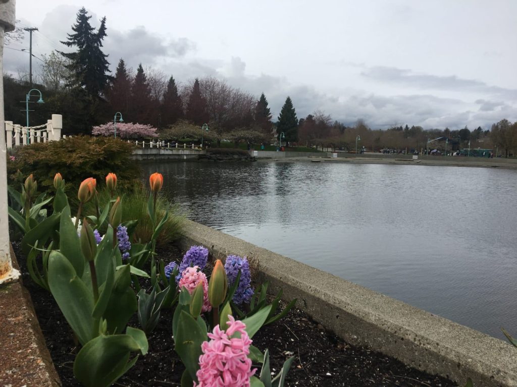 Nanaimo Waterfront Lake