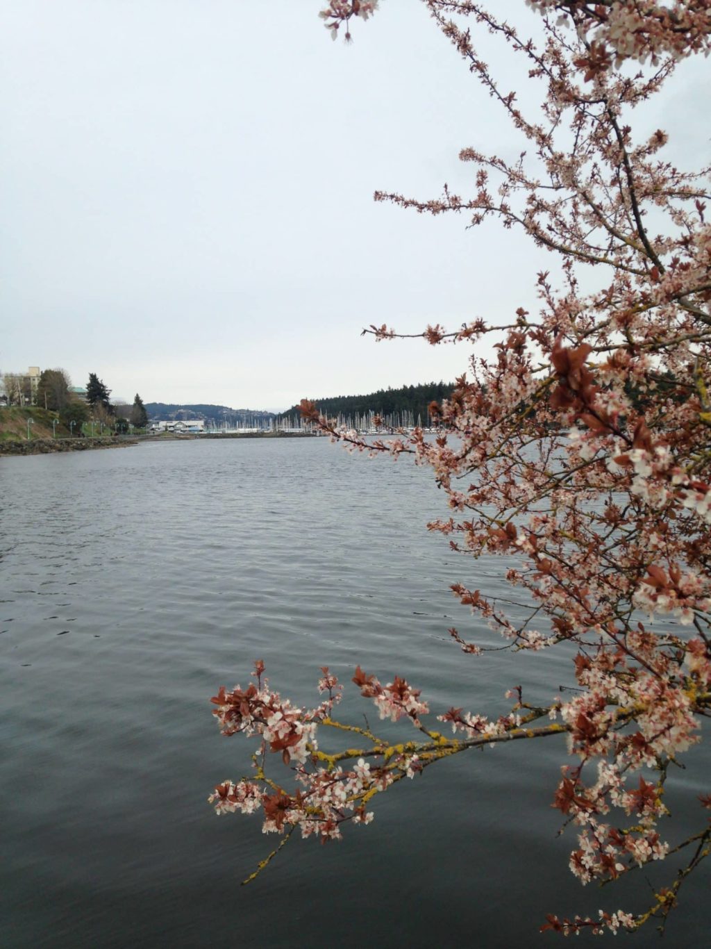 Nanaimo harbour distance