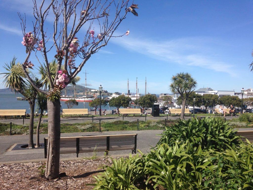 Overlooking Aquatic Park