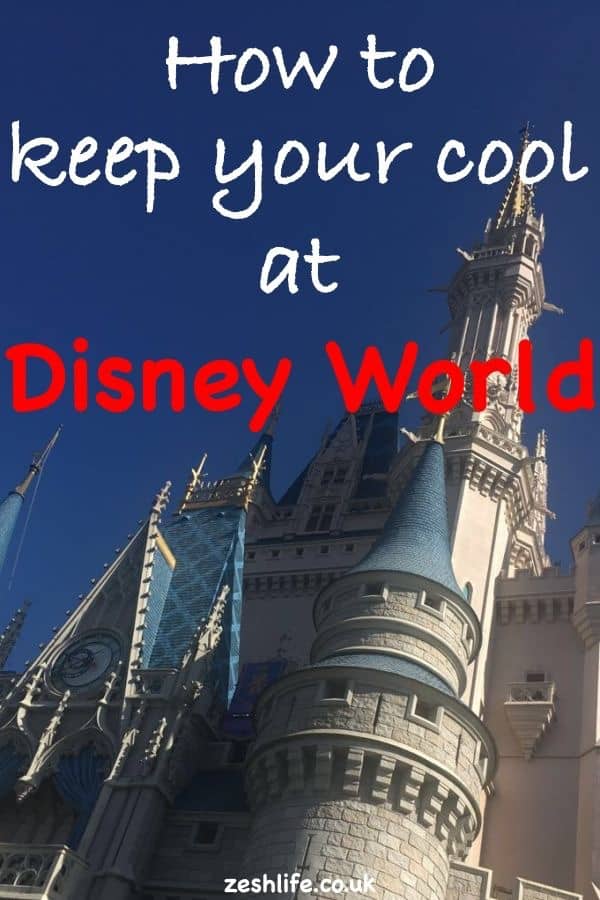 How to beat the heat at Disney World Pinterest Pin