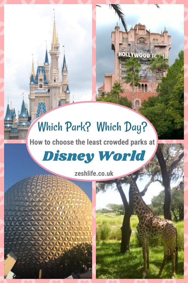 Which Disney Park on Which day?