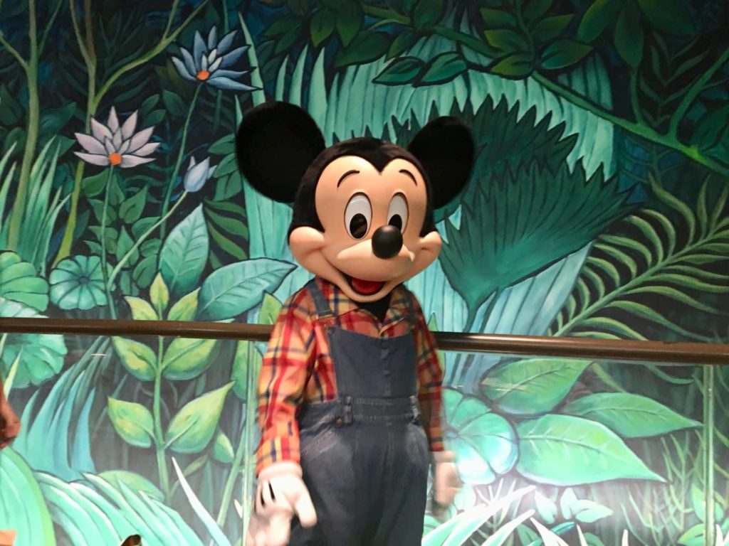 Meet Mickey Mouse in his farmer attire