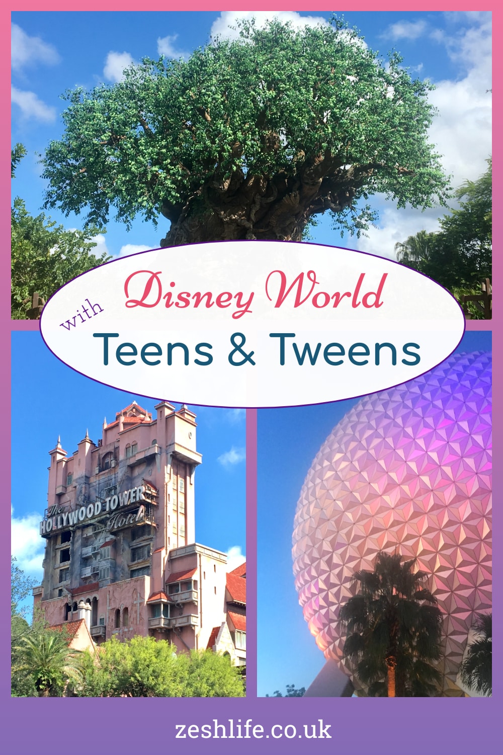 Disney World with Teens & Tweens Pin