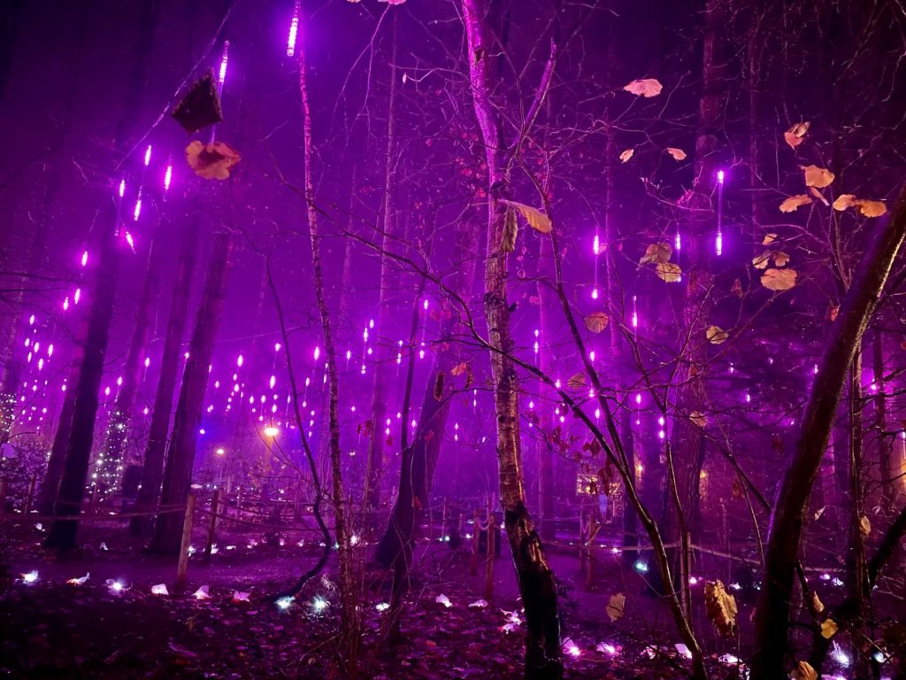 Center Parcs Enchanted Light Trail Purple