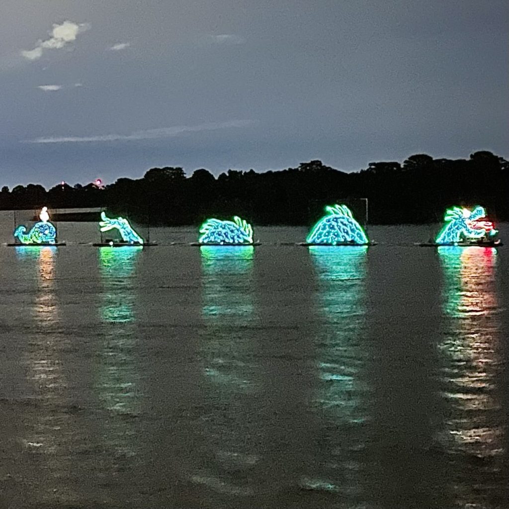 Disney's Electrical Water Pageant from Contemporary Resort