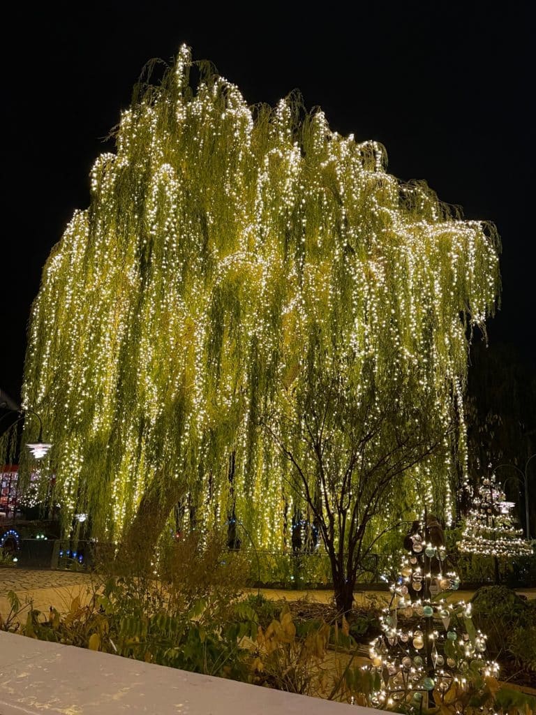 Tivoli Gardens Weeping Willow Tree with lights