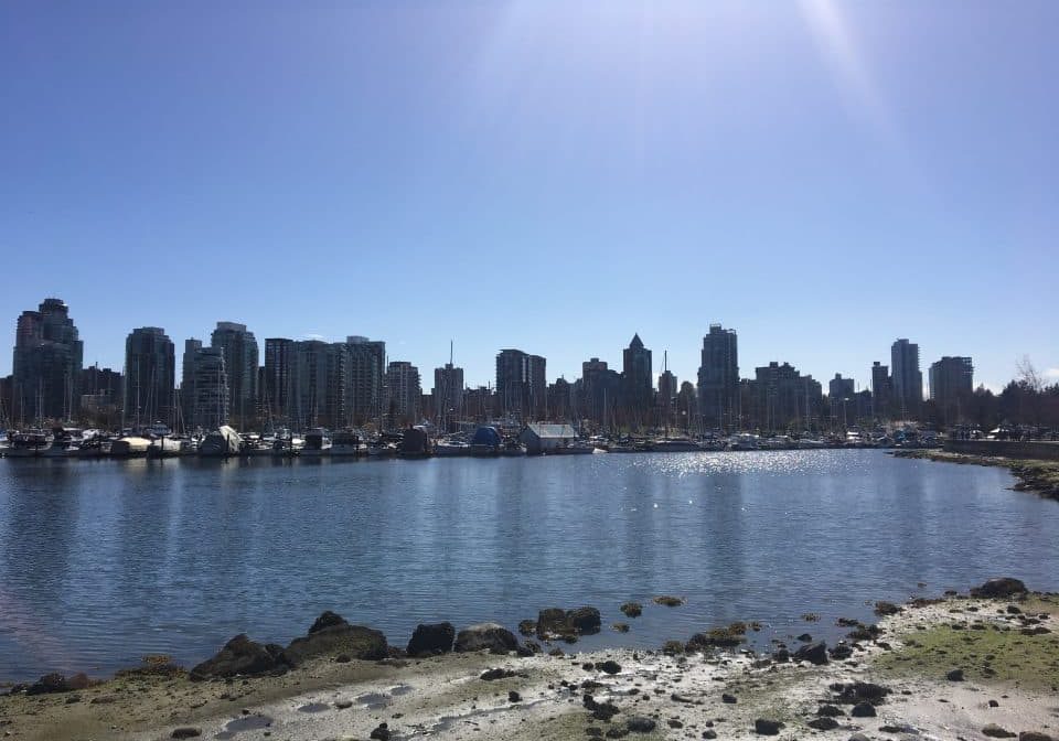 Vancouver skyline from park