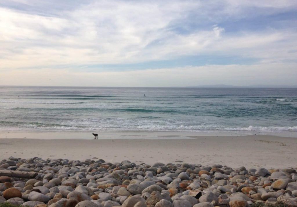 Pebble Beach on the 17 mile drive