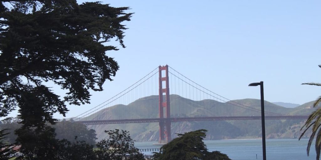 As you approach the bench, be sure to stop and take in the fabulous view of the bay and Golden Gate Bridge